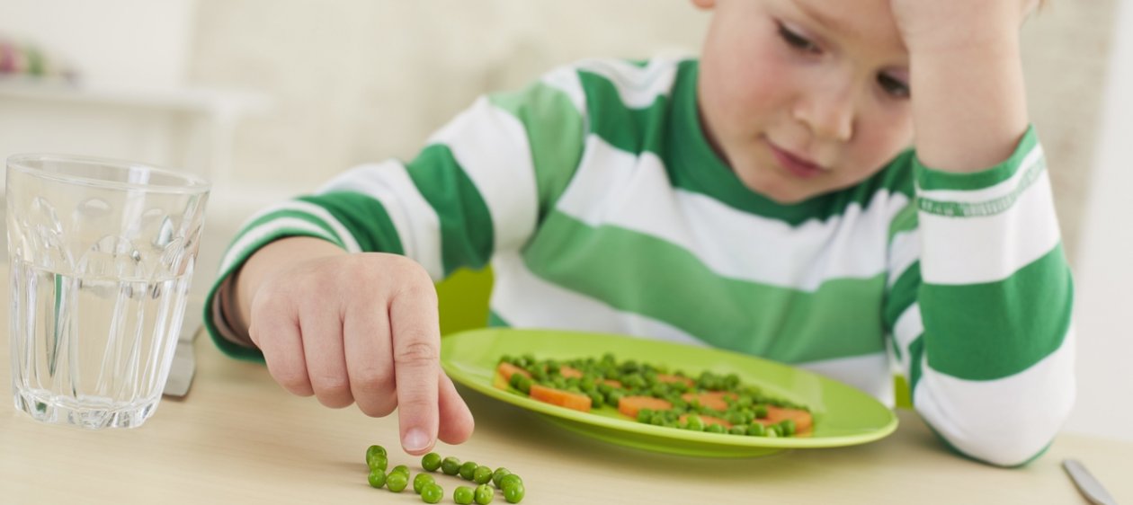 Verduras v/s niños: Cómo lograr que tus hijos coman sano