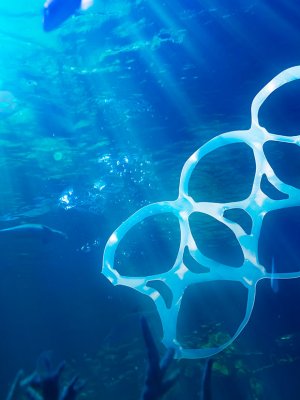 El desafío de reducir los desechos plásticos del mundo
