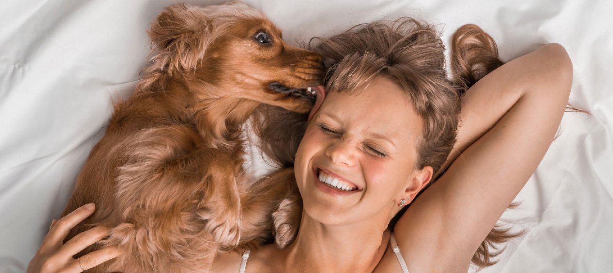 Los perros pueden ayudar a curar el cáncer en humanos (según la ciencia)